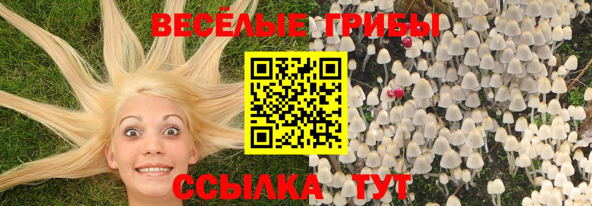 Галлюциногенные грибы Cubensis Сухой Лог