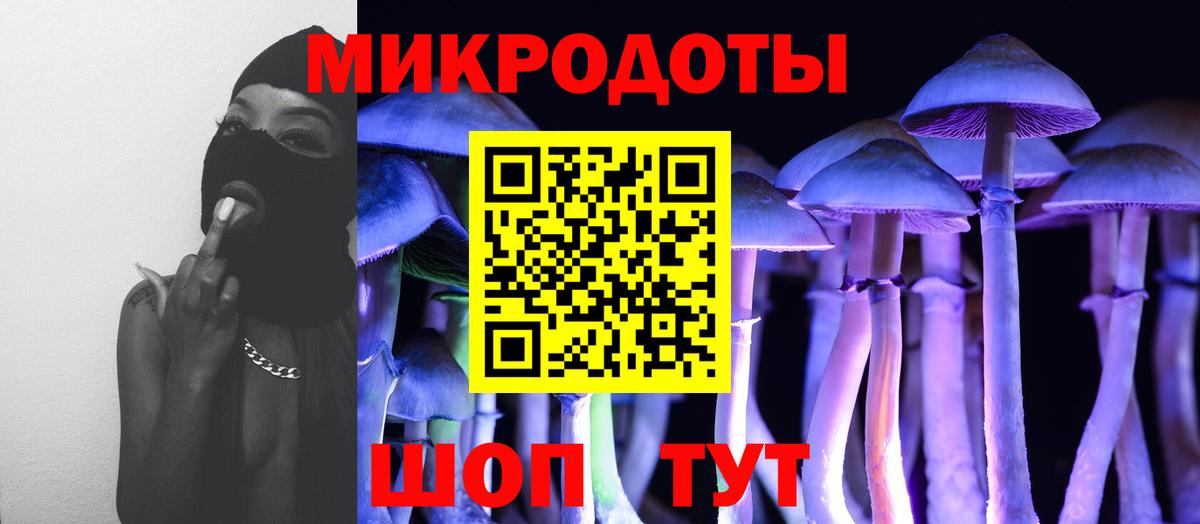 Псилоцибиновые грибы Psilocybe  Псилоцибиновые грибы мицелий  Вход с VPN  закладка  Сухой Лог 